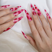 Rose Elegance