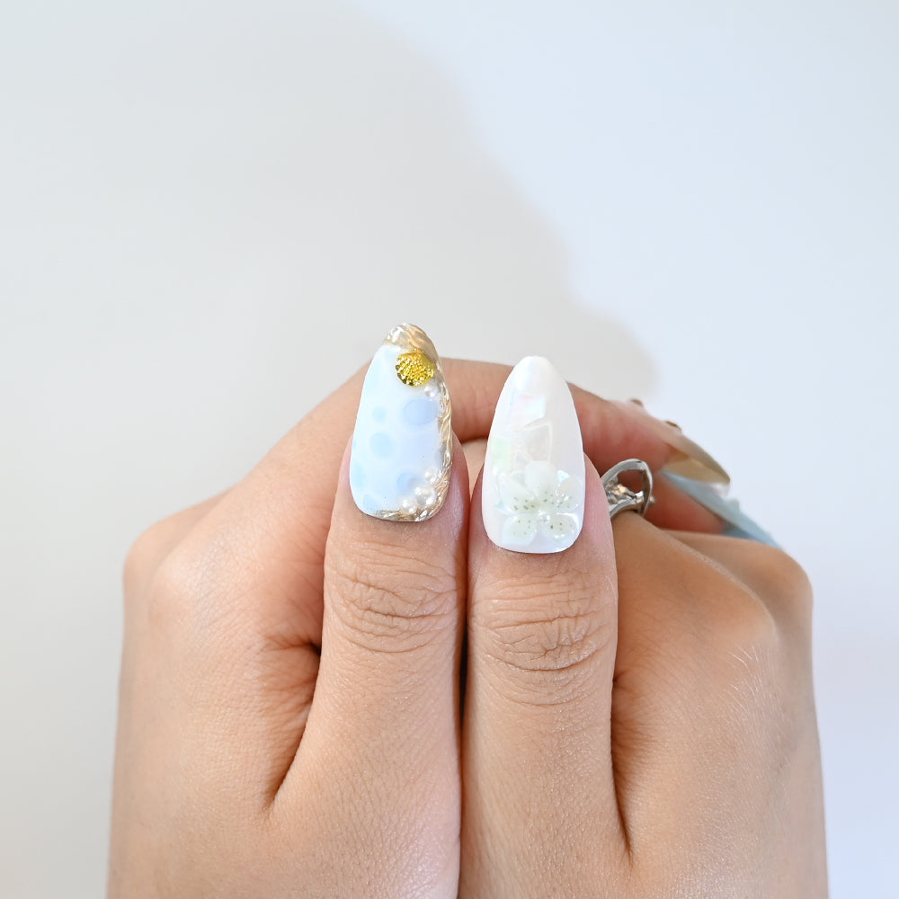 Seashell Dream
