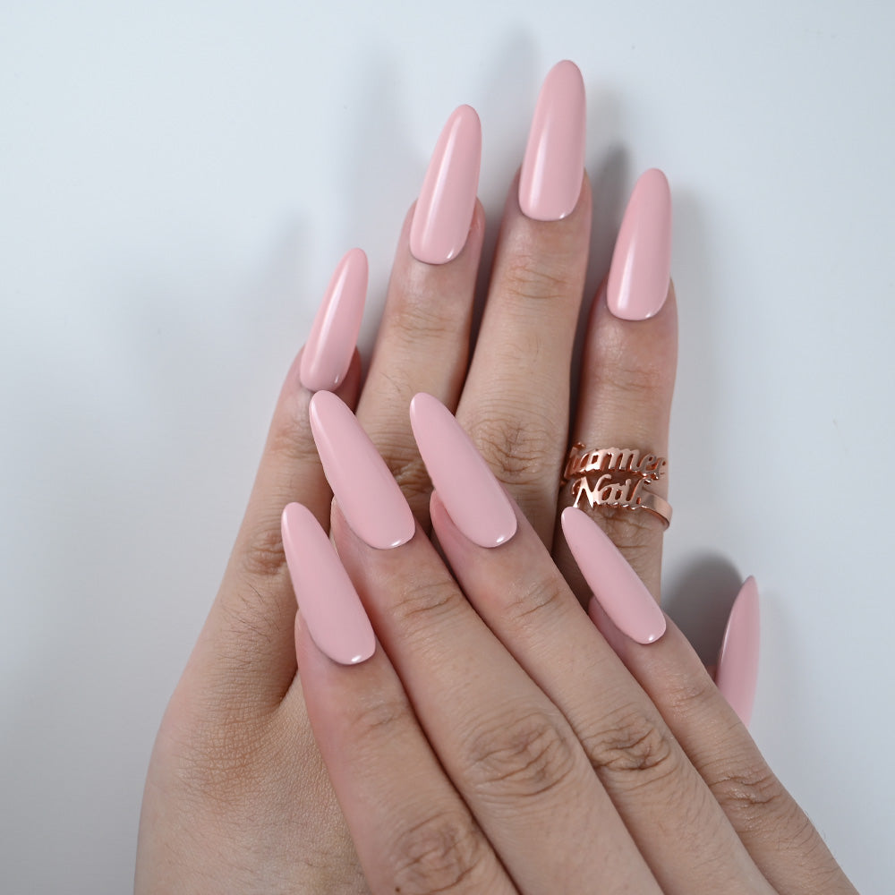 Rose Shell